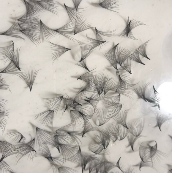 Lashes - Picture 2 of 6